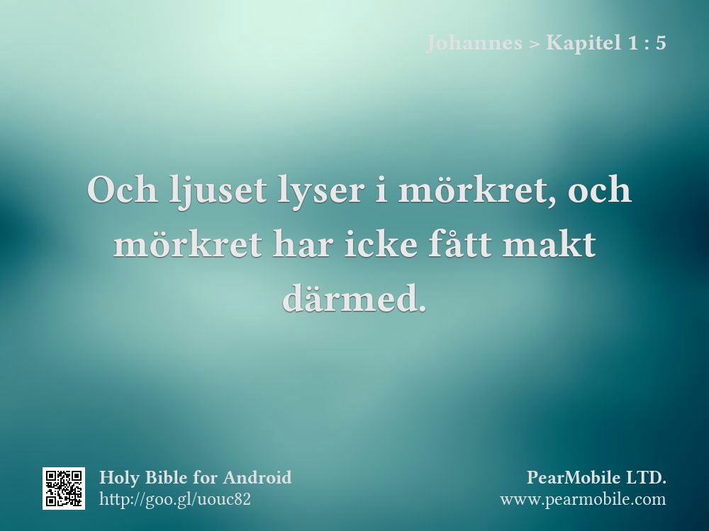 Johannes, Kapitel 1:5